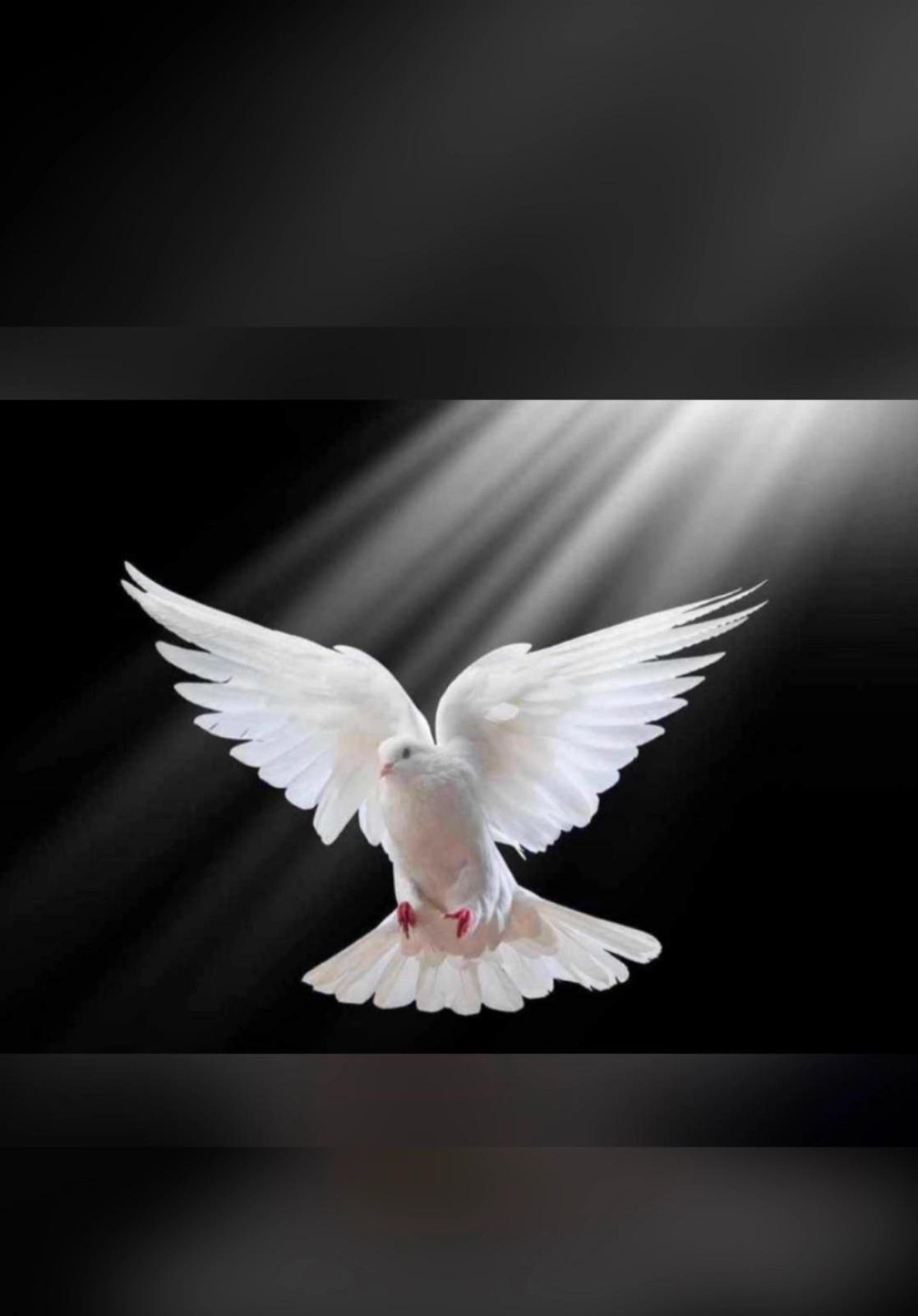 Freaky fun 🤩 Freaky fun 🤩