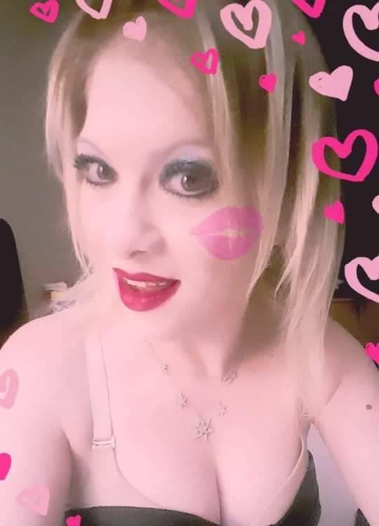 §€×¥ STAR bunniis AmazinghotweTclassyvipl §€×¥ STAR bunniis AmazinghotweTclassyvipl