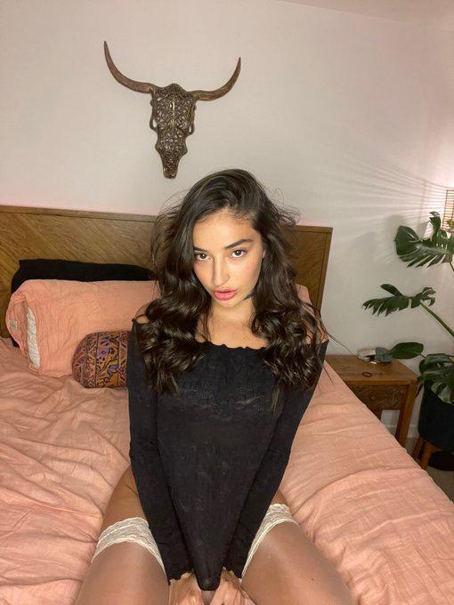 Professionals Escort Professionals Escort