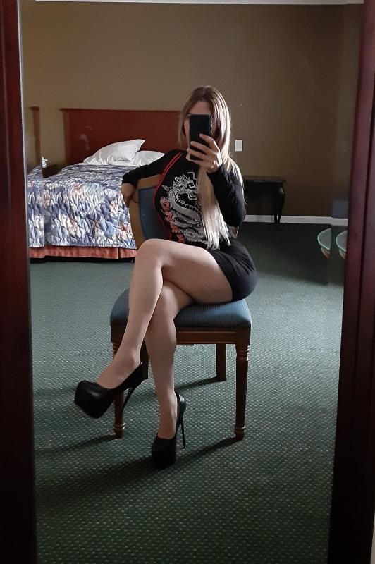 Vanessa bonita latina